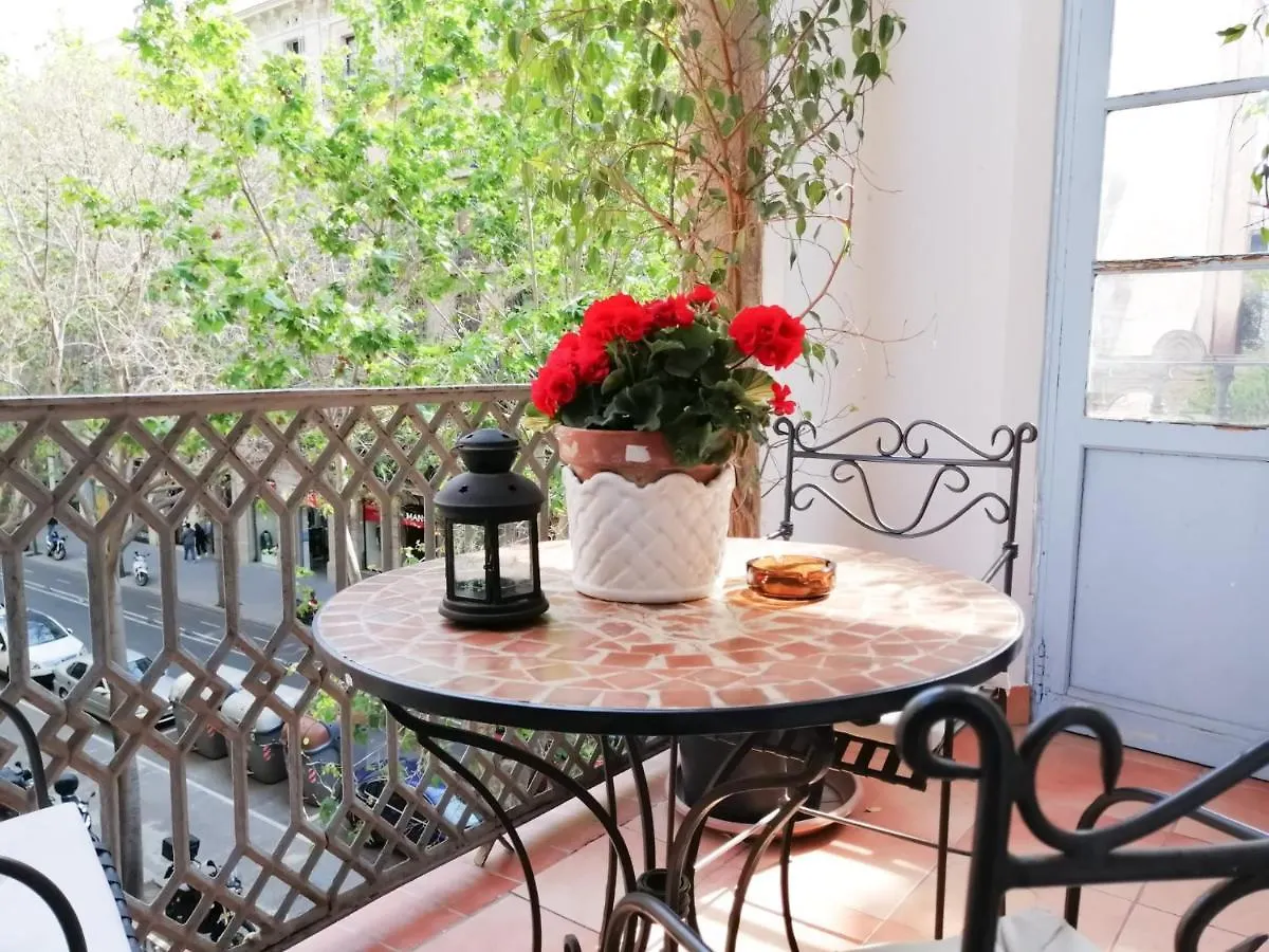 Casa Consell Gran Via, Guest House Barcellona